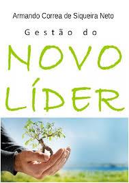 GESTÃO DO NOVO LÍDER